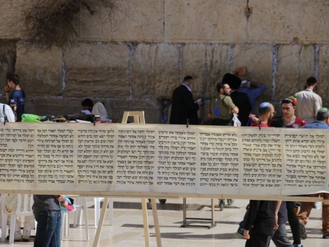 מגילת אסתר הגדולה בעולם. הקרן למורשת הכותל