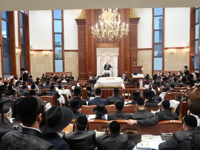 שיעורי תורה מעגלים. 