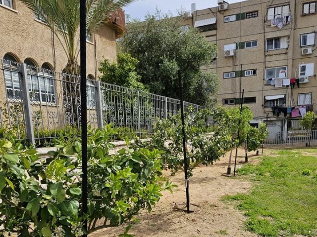 צילום: מינהלת רובע ג'