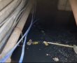בלב רובע ג': אגם של ביוב גולמי מתחת לבית עם יתושים וחולדות (וידאו) 
