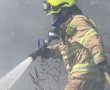 הרכב עלה בלהבות בלב אשדוד, התושבים נבעתו  