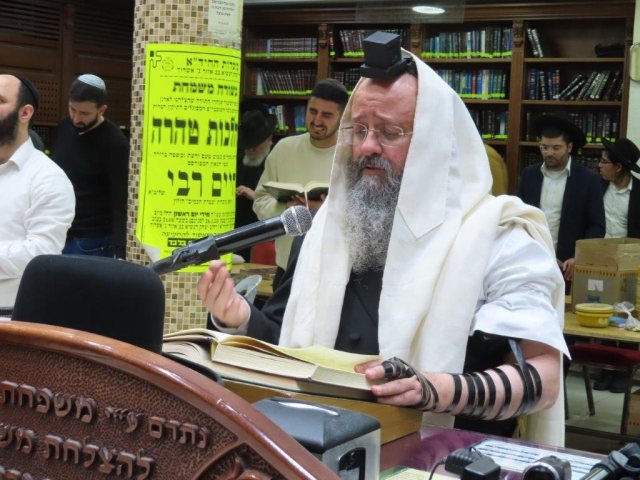 צילום: א. מיכאלי