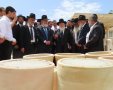 קבורת דברי הגניזה בבית העלמין. א' מיכאלי