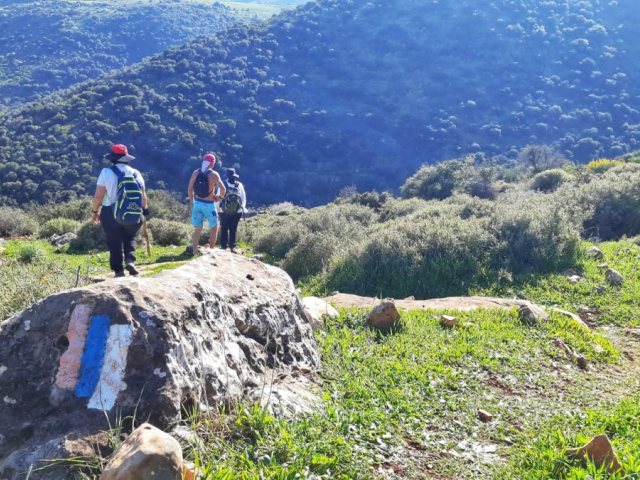 מטיילים בטבע. צילום: יניב כהן, רשות הטבע והגנים