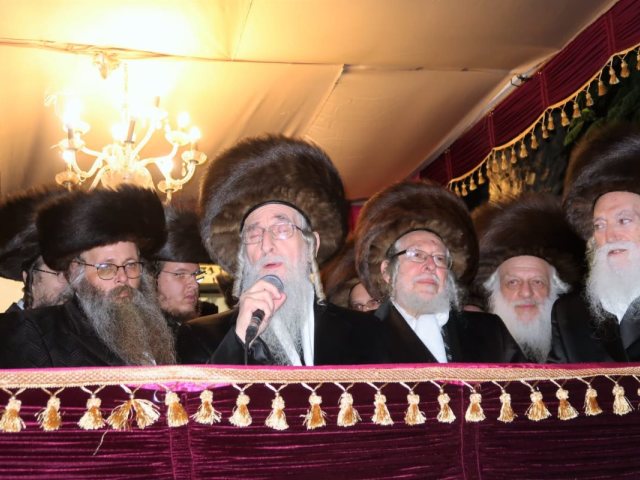 החתונה המאחדת. צילום: איציק בלמס