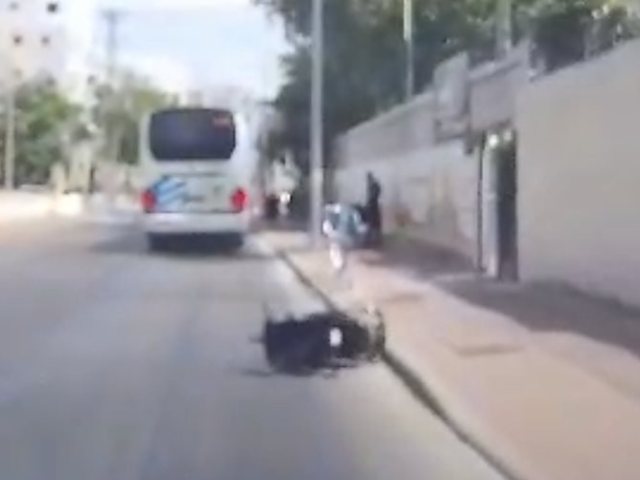 צילום: שימי ב