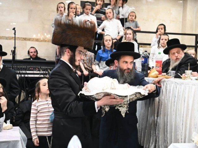 פדיון הבן בפיטסבורג. שוקי לרר