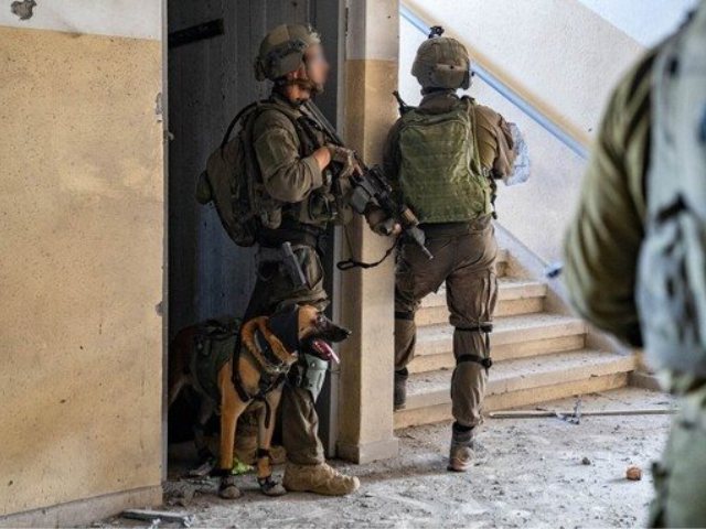 פעילות לוחמי ולוחמות יחידת עוקץ בשטח רצועת עזה | צילום: דובר צה"ל