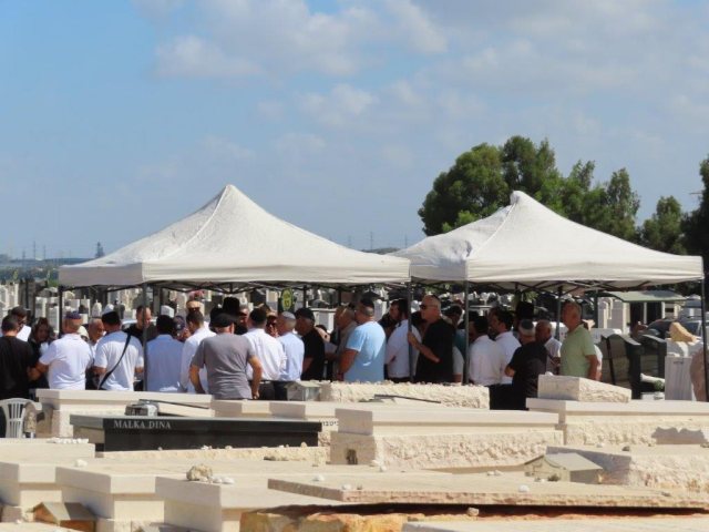 צילום: א. מיכאלי
