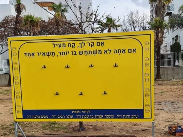 צילום: אשדוד נט