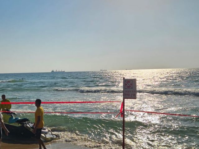צילום: עירית אשדוד