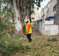 הניקיון בגינות. לירון מולדובן