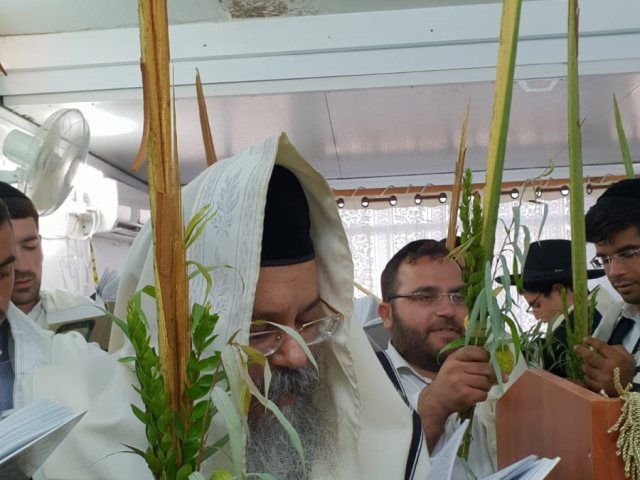 צילום: א' מיכאלי