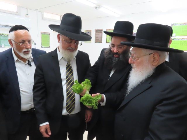 הרב פינטו במעבדה. א' מיכאלי