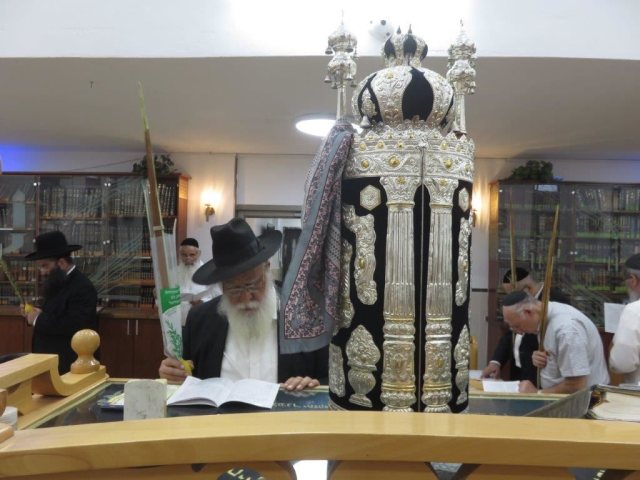 התפילות בבית הכנסת הריבז. א' מיכאלי