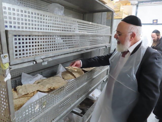 צילום: א. מיכאלי