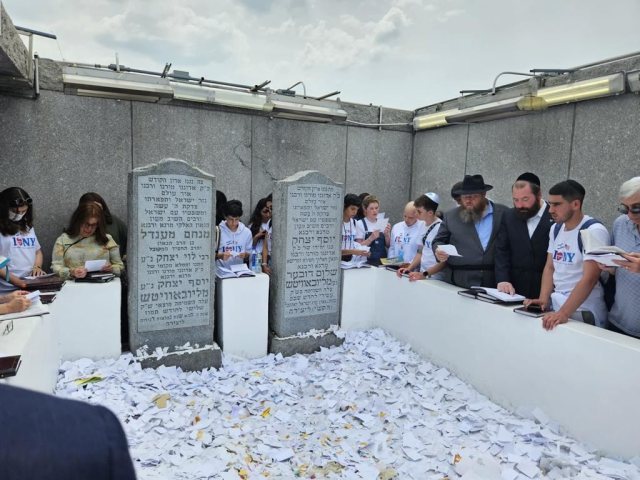 ילדי רחשי לב בניו יורק. רחשי לב