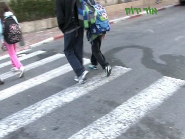 צילום: עמותת אור ירוק