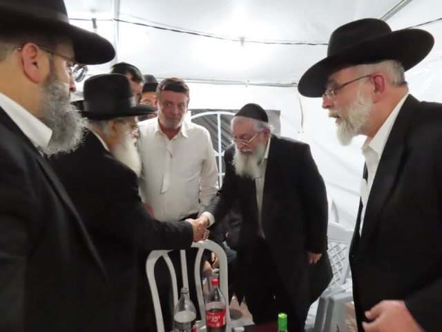 צילום: א. מיכאלי