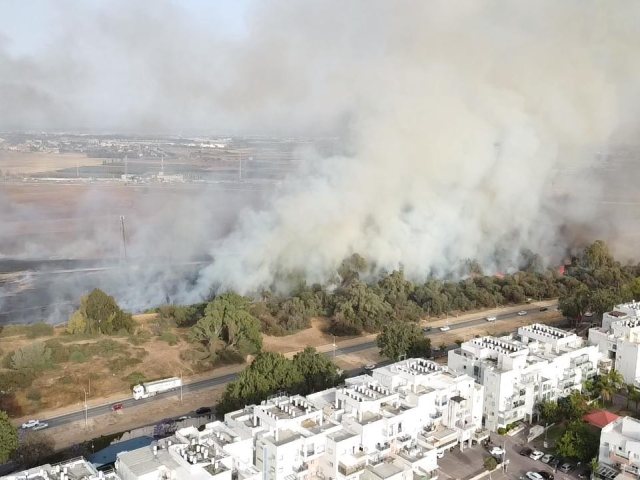השריפה ממעוף הציפור. אברהם ר