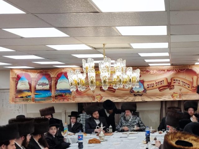 צילום: באדיבות המצלם