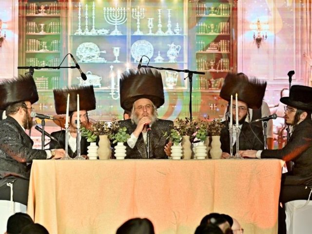 צילום: יהושע פרוכטר