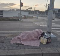 צילום מערכת אשדוד נט 