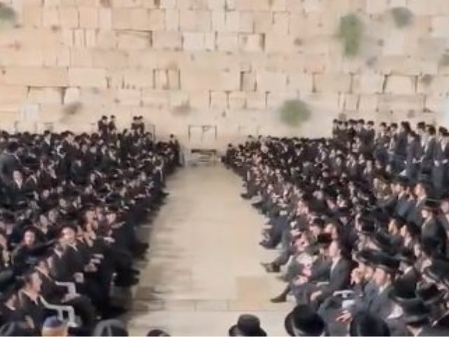 תלמידי ישיבת בעלזא בשירת "אני מאמין" בכותל המערבי. צילום: משה ויסברג