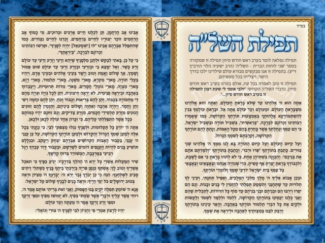 צילום: באדיבות המצלם