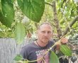 "הד״ר של העצים": הכירו את ד"ר אורי דיקן מנהל מחלקת עצים בעיריית אשדוד