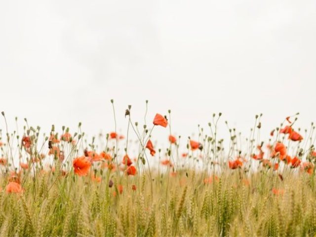 Photo by Henry Be on Unsplash