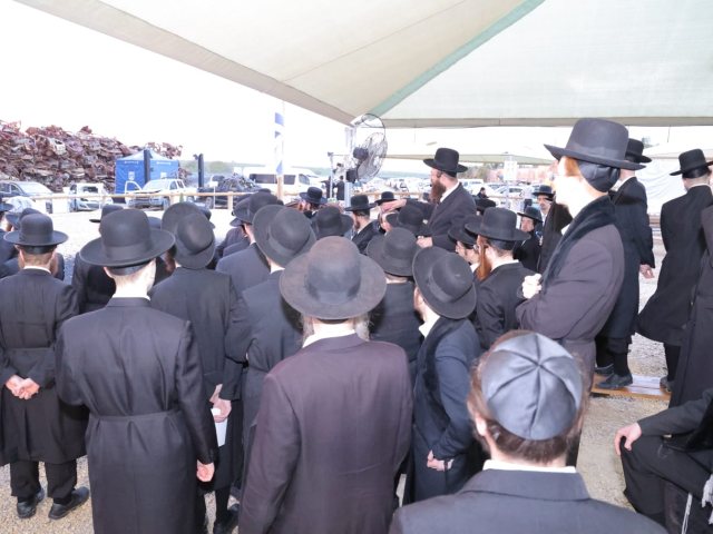 יתומי החסידות בעוטף עזה