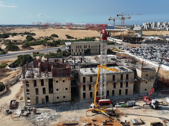 צילום: מיקי אדרי