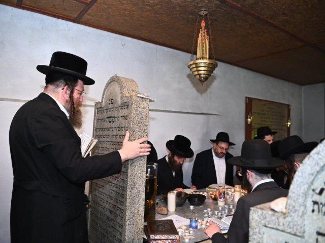 צילום: שוקי לרר