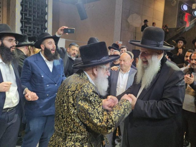 צילום: א. מיכאלי