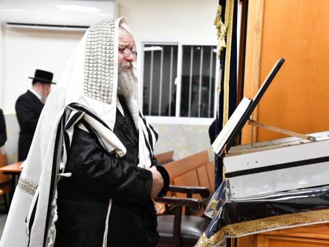 צילום: יוסי לוי