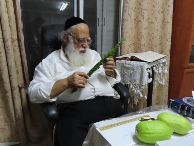 צילום: א. מיכאלי