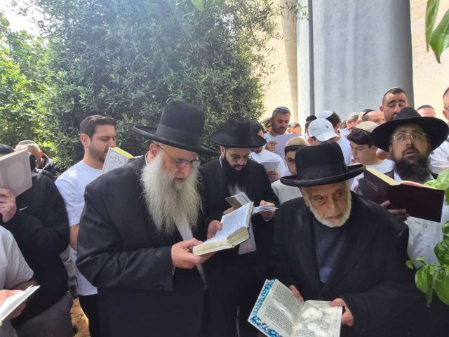 רבי מאיר אבוחצירא בברכת האילנות. מ' מיכאלי