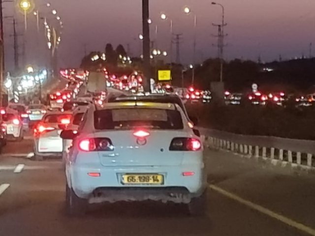 צילום: פרטי