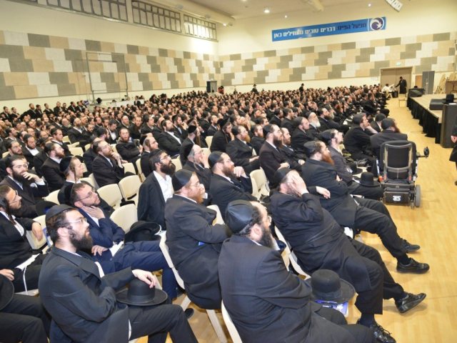 צילום: דוד עוזר