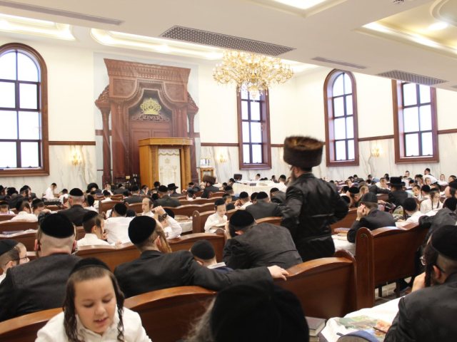 שיעורי תורה מעגלים. צילום: מעגלים