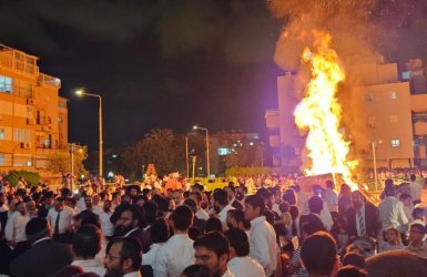 צילום: א. מיכאלי