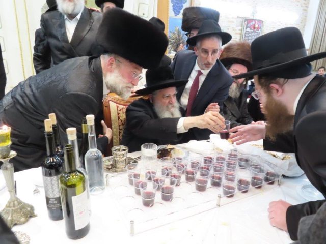 צילום: א. מיכאלי