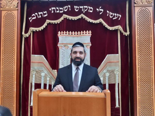 הר במאיר לוגסי. א' מיכאלי