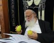 צילום: א' מיכאלי