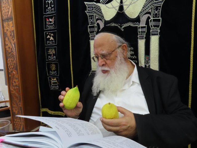 צילום: א' מיכאלי