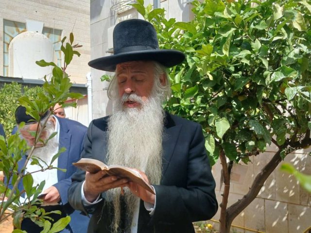 הרב שמואל שטרית בברכת האילנות. 