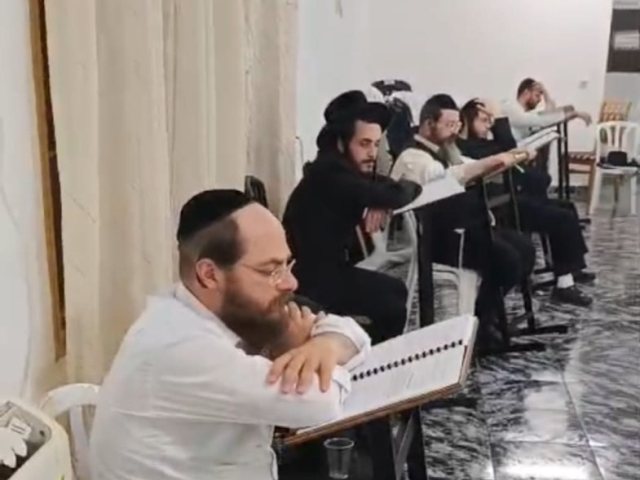 צילום: א' מיכאלי