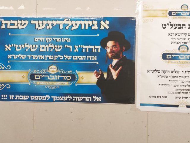 צילום: ללא