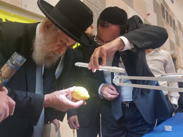 הרב שיינין בבדיקת אתרוג. המצלם